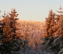 Weihnachtsgruß 